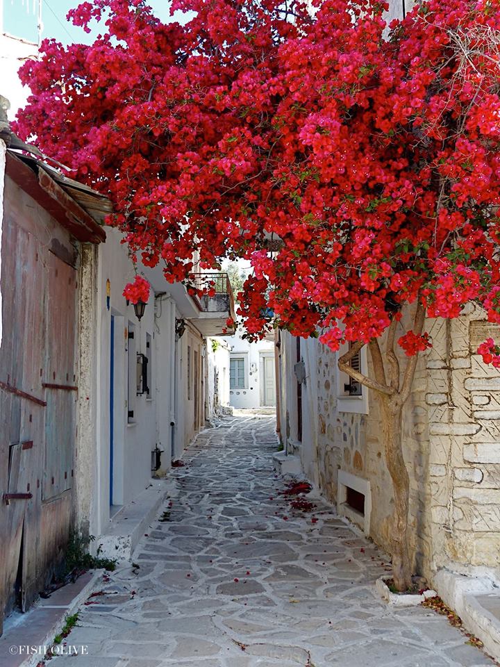 Stroll in charming alleys